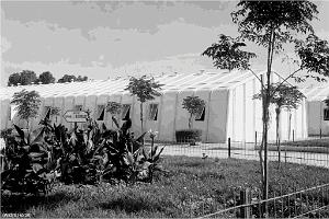 123 - AERODROMES ET BASES 1945-1962-1-TELERGMA BA 211 (21)
